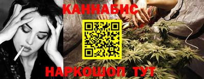 прущие грибы Новозыбков