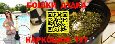спиды Новокубанск
