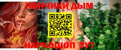 прущие грибы Новозыбков