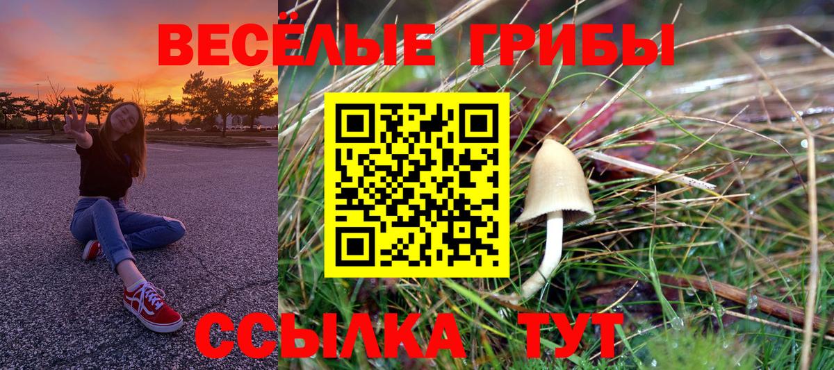 Галлюциногенные грибы мицелий Сосновоборск