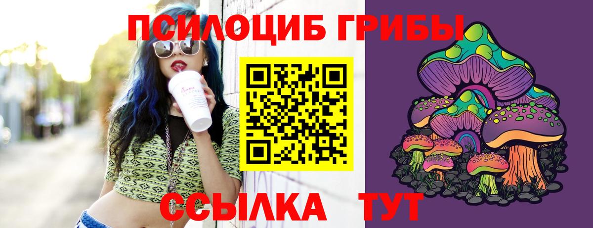 Сосновоборск  наркошоп  Вход с VPN  Псилоцибиновые грибы прущие грибы 